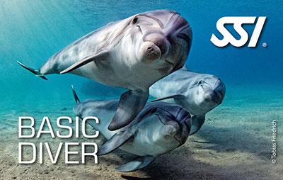 SSI Basic Diver pool and sea experience