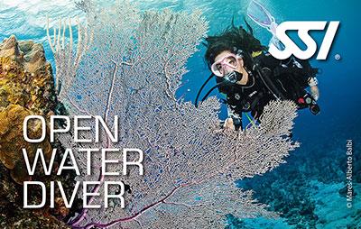 SSI Open Water Diver—globally recognised entry certification