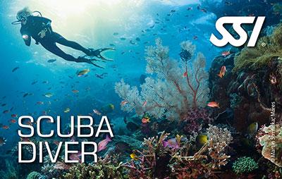 SSI Scuba Diver certification to 12 metres with a pro