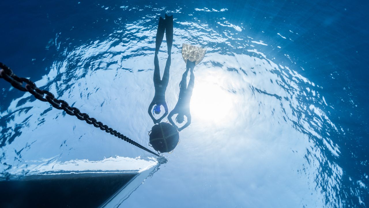 Freedivers at the surface