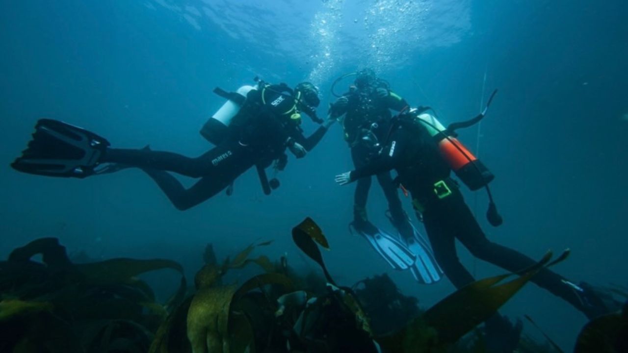 Open water views in Plymouth