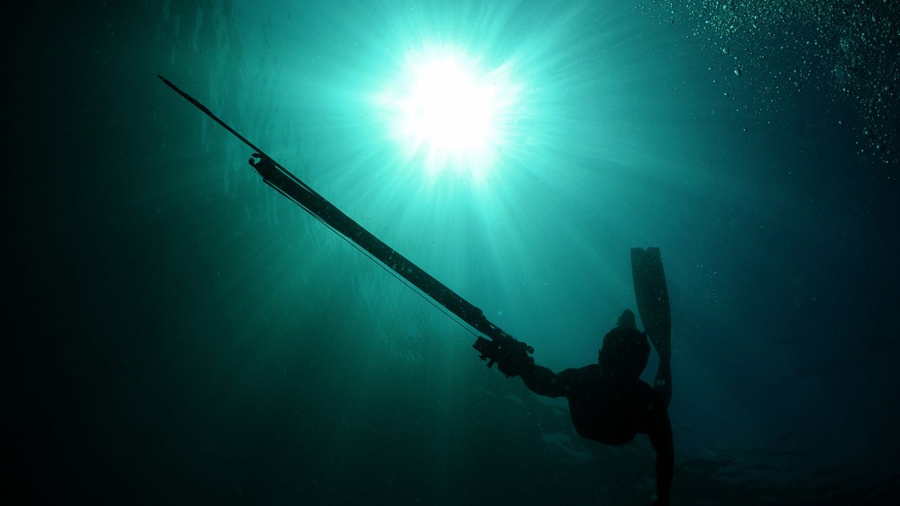 Spearfisher ready on the shoreline