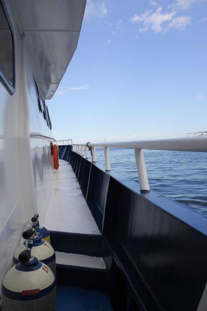 View from aboard Dive Runner boat