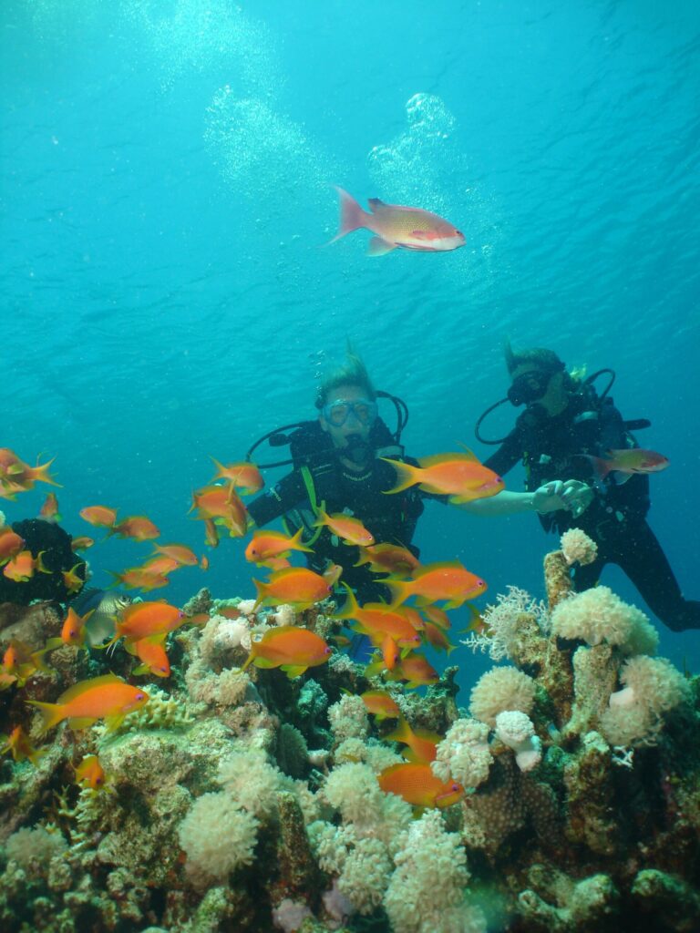 Scuba divers on holiday in Egypt underwater with tropical fish