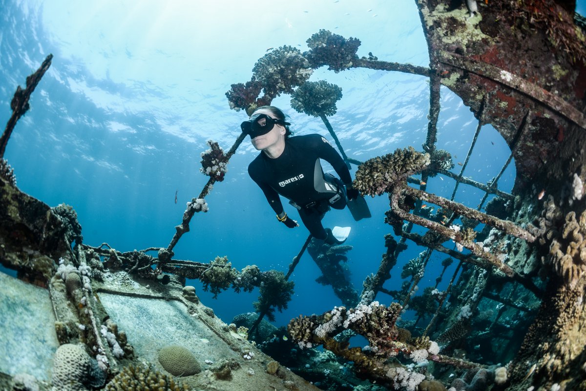 Freediver swimming through wreck