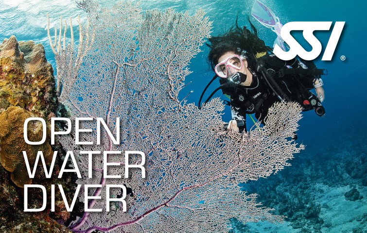 junior and adult open water diver