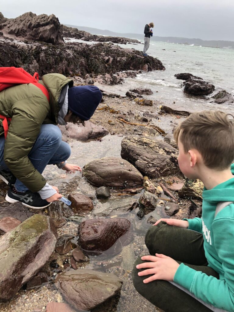 Rockpooling as part of marine biology for kids club in Plymouth