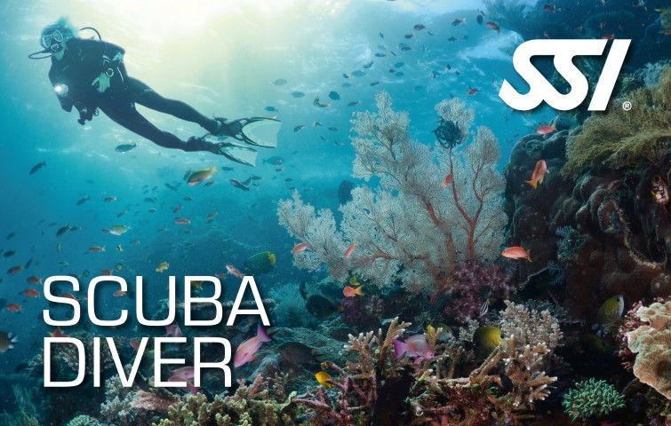 SSI Scuba Diver certification card