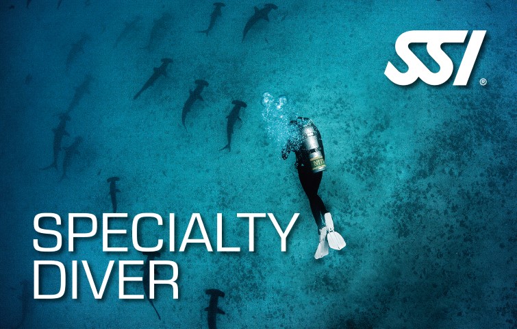 speciliaty diving