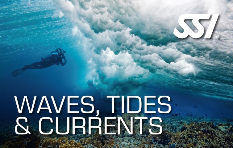 SSI Waves, Tides and Currents certification card