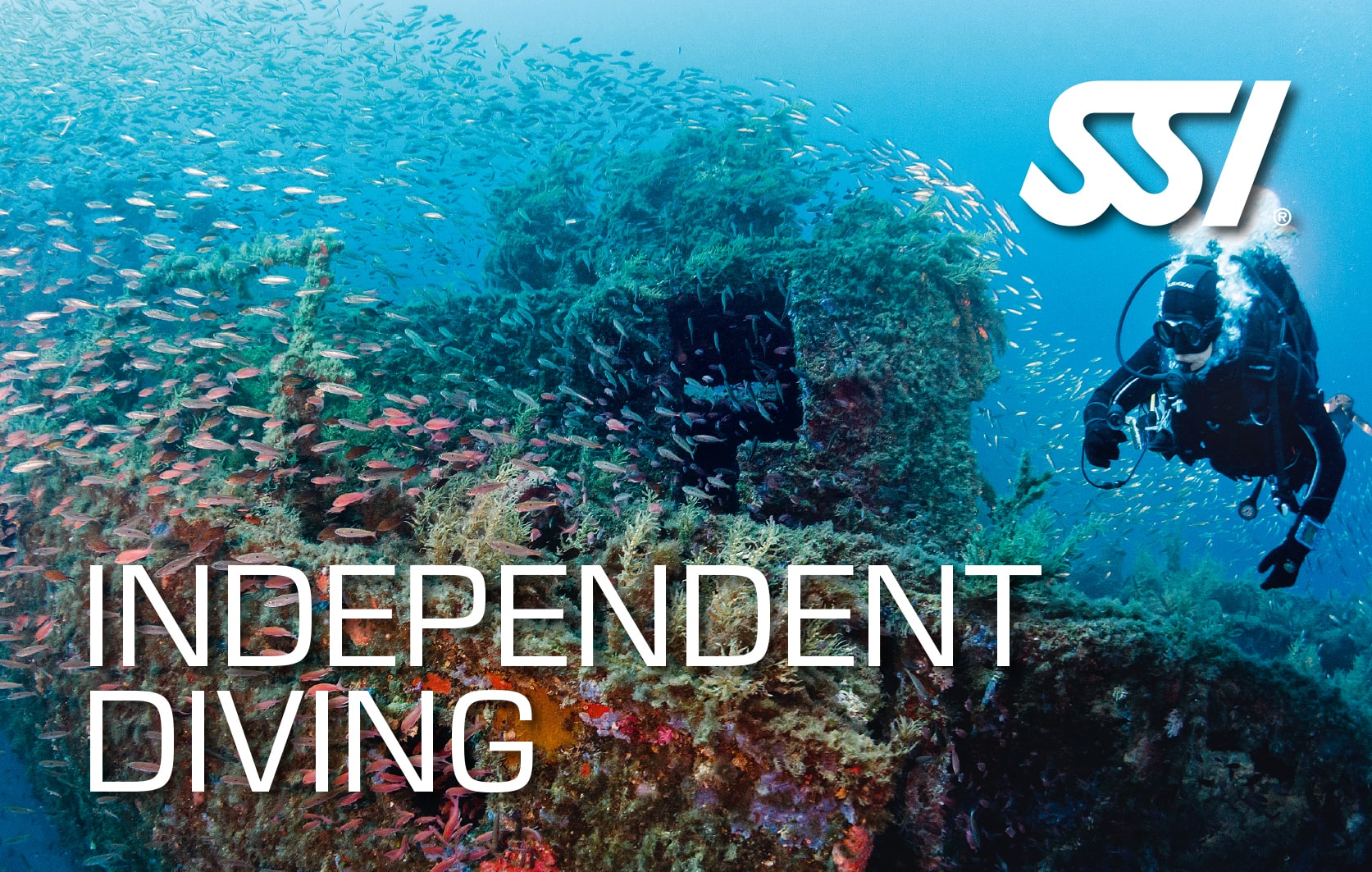 SSI Independent Diving certification card