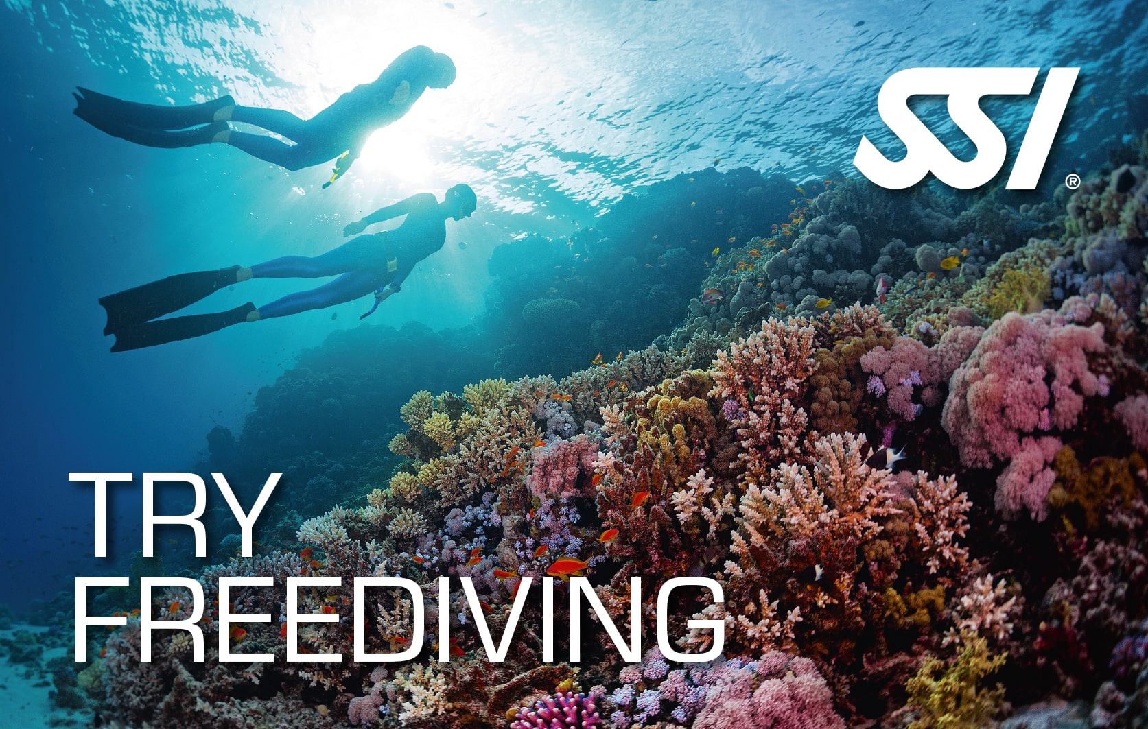 SSI Try Freediving certification card